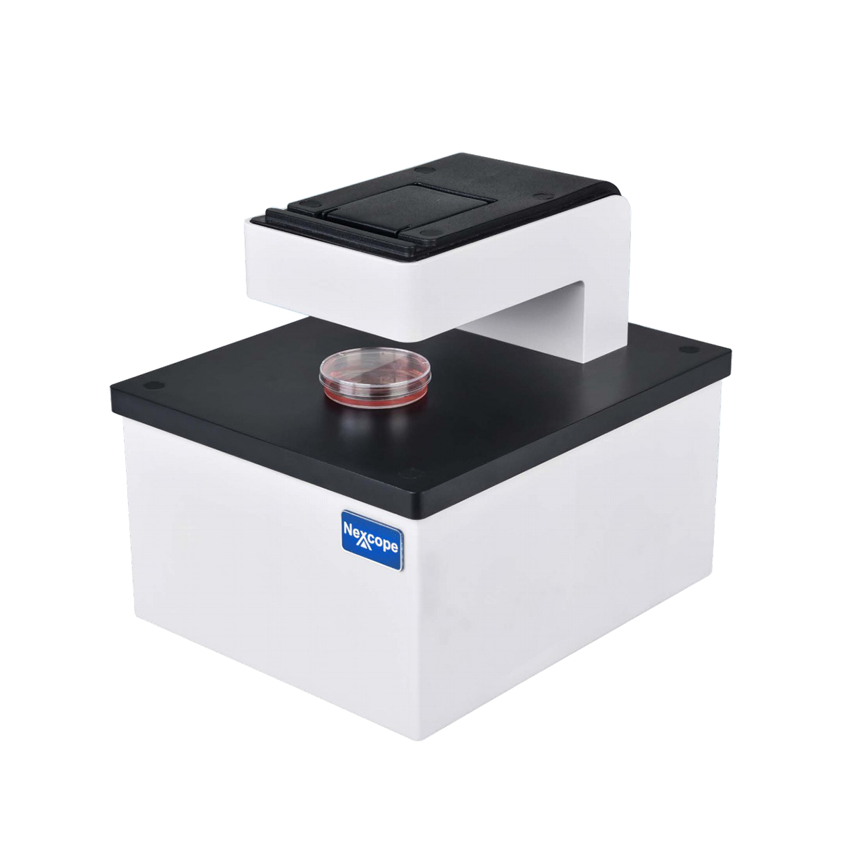 Digital Microscope